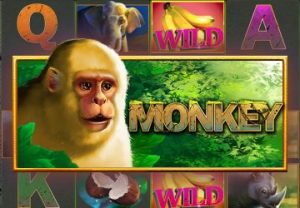 Monkeys of the Universe